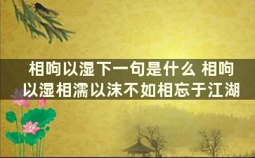 相呴以湿下一句是什么 相呴以湿相濡以沫不如相忘于江湖